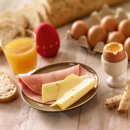 이비스 센트레 갸르